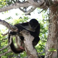 Holiday & Seasonal Tours