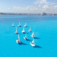 Catamaran Cruises