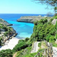 Bus & Minivan Tours