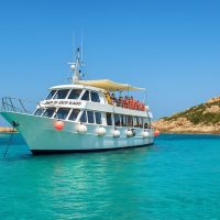 Day Cruises