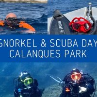 Scuba Diving