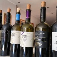 Food, Wine & Nightlife