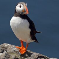 Full-day Tours