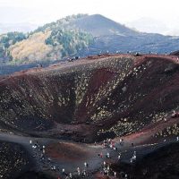 Wine Tasting & Winery Tours