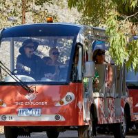 Tours & Sightseeing