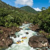 Shore Excursions