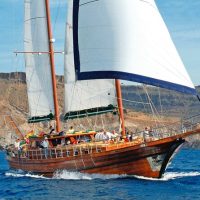 Shore Excursions