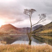 Holiday & Seasonal Tours
