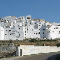 Holiday & Seasonal Tours