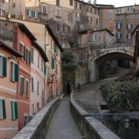 Bus & Minivan Tours