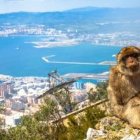 Luxury Tours