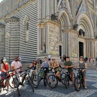 Wine Tasting & Winery Tours