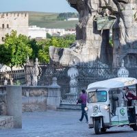Bus & Minivan Tours
