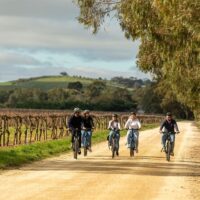 Full-day Tours