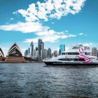 Catamaran Cruises
