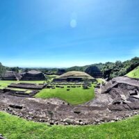 Bus & Minivan Tours
