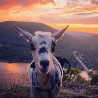 Nature & Wildlife