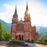 Bus & Minivan Tours