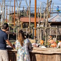 Zoo Tickets & Passes