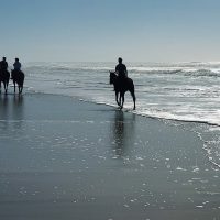 Horseback Riding