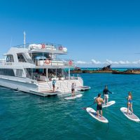 Catamaran Cruises