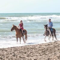 Horseback Riding