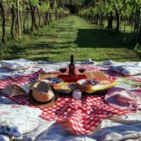 Private Sightseeing Tours