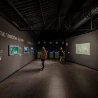 Audio Guided Tours