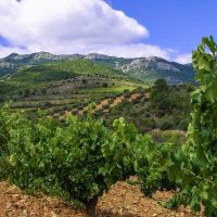 Day Trips & Excursions
