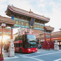 Bus & Minivan Tours