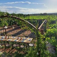 Dining Experiences