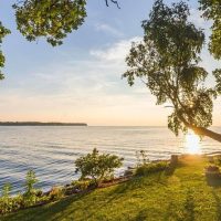 Bus & Minivan Tours
