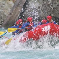 Boat Tours
