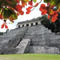 Bus & Minivan Tours
