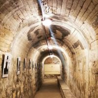 Holiday & Seasonal Tours