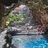 Bus & Minivan Tours