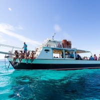 Port Transfers