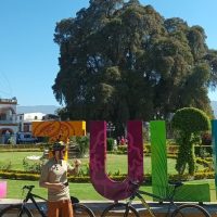 Luxury Tours