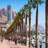 Shore Excursions