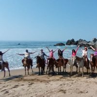 Luxury Tours