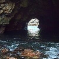 Bus & Minivan Tours
