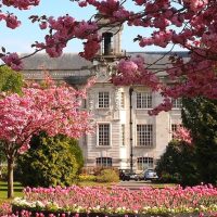 Audio Guided Tours