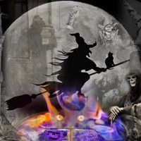 Holiday & Seasonal Tours