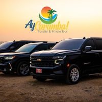 Private Drivers