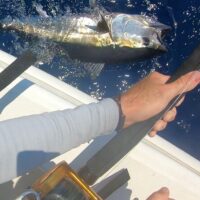 Fishing