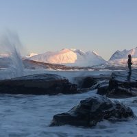 Shore Excursions