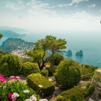 Bus & Minivan Tours