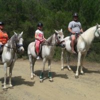 Horseback Riding