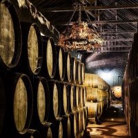Ports of Call Tours