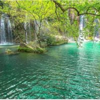 Photography Tours